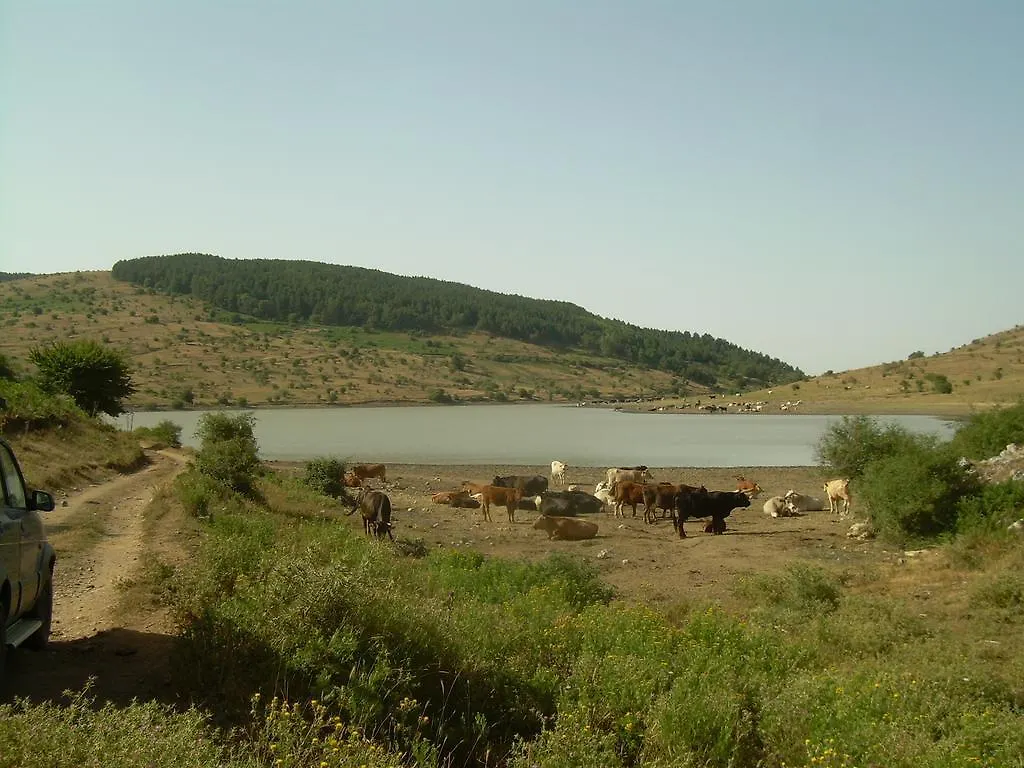 Фермерский дом Agriturismo Fontanapietra Tortorici Италия