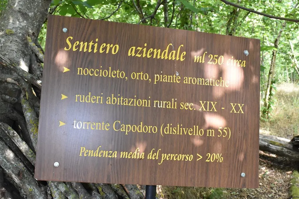 Alloggio per agriturismo Agriturismo Fontanapietra Tortorici