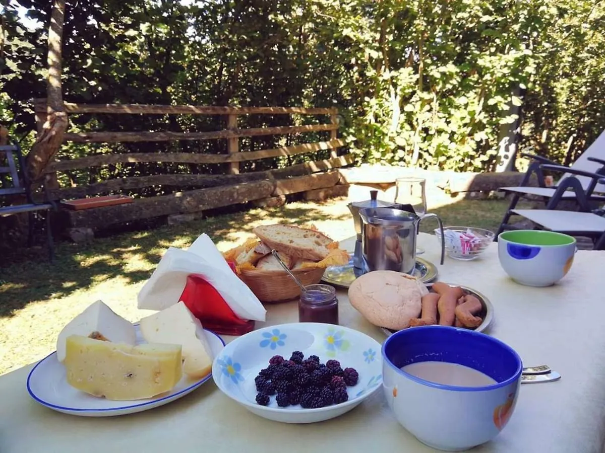 Фермерский дом Agriturismo Fontanapietra Tortorici